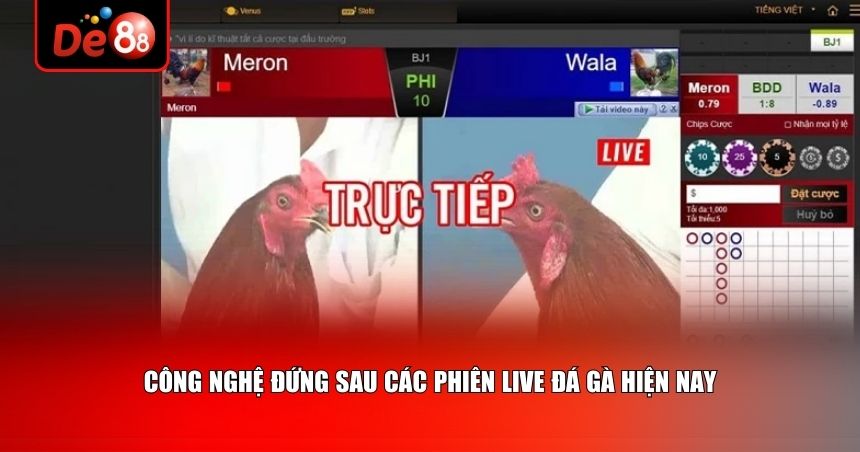 Live đá gà vận hành dựa trên nhiều yếu tố công nghệ