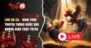 Live đá gà